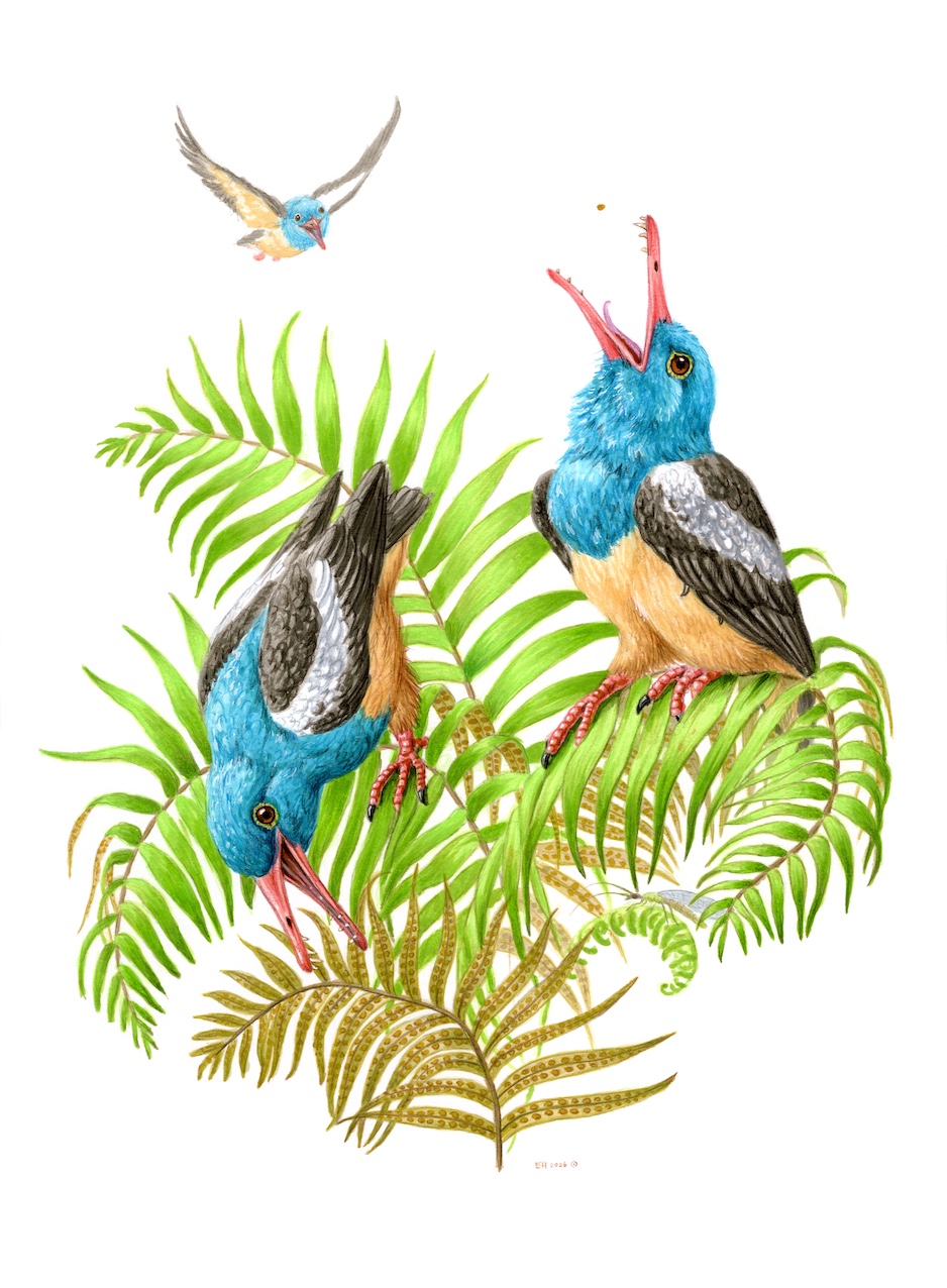 Longipteryx chaoyangensis