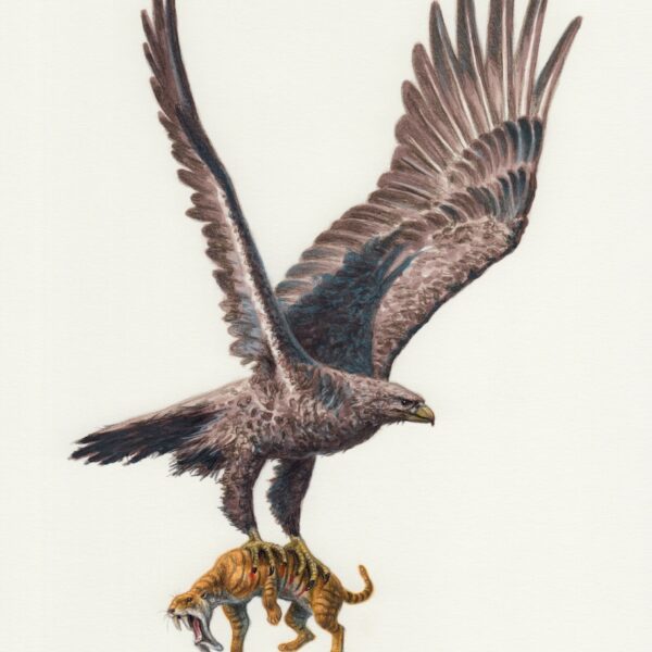 Argentavis with Thylacosmilus