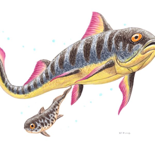 Materpiscis
