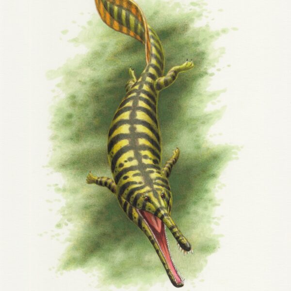 Prionosuchus