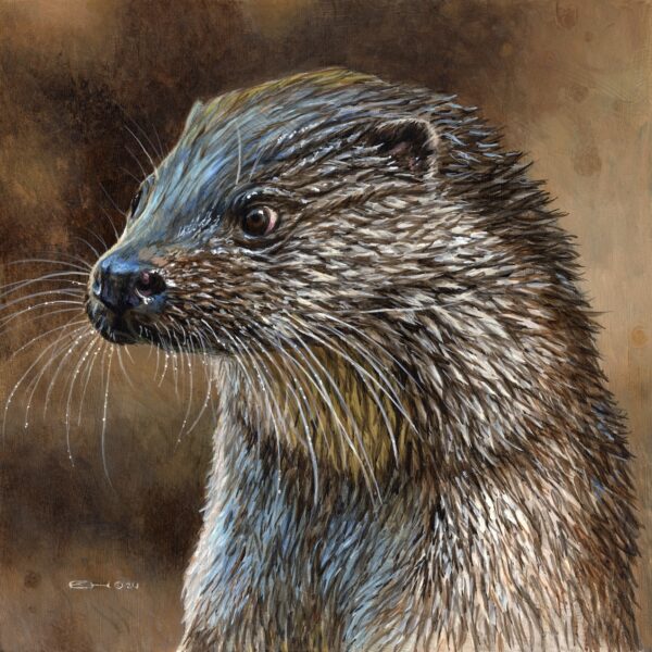European Otter