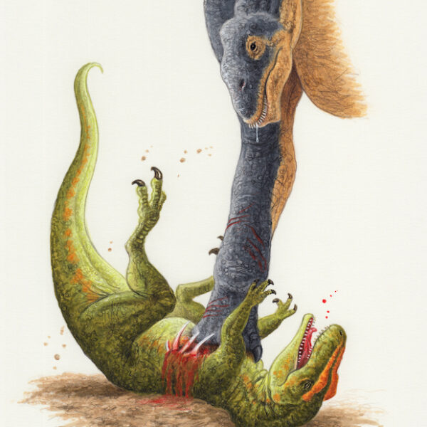 Argentinosaurus and Taurovenator