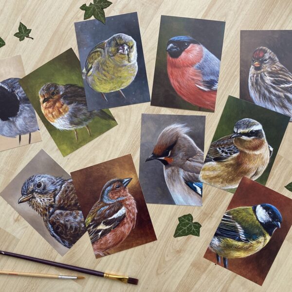 10 garden bird art cards
