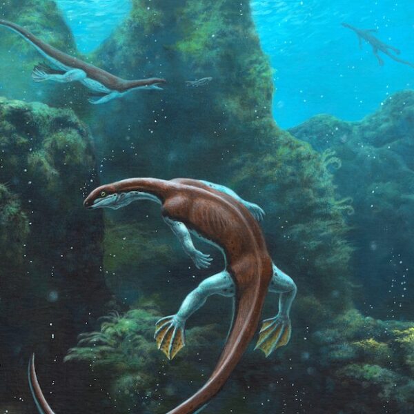 Other Paleo Art
