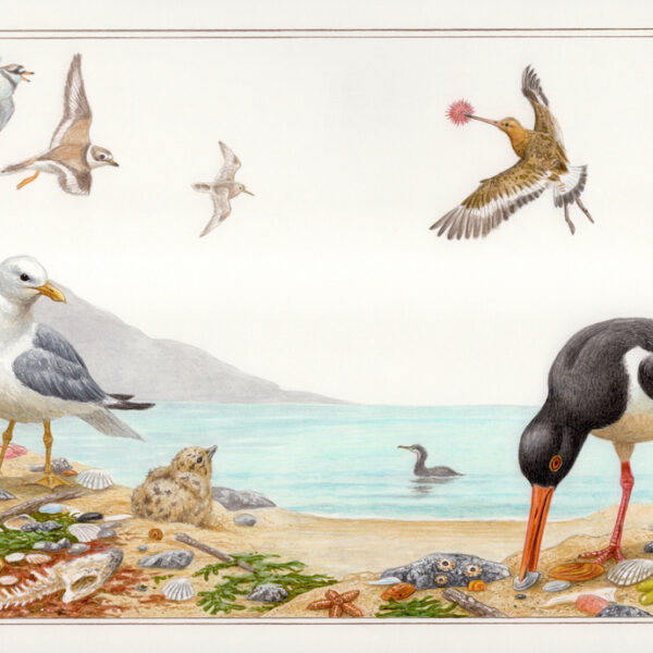 Natural Environments: Coastal Waters