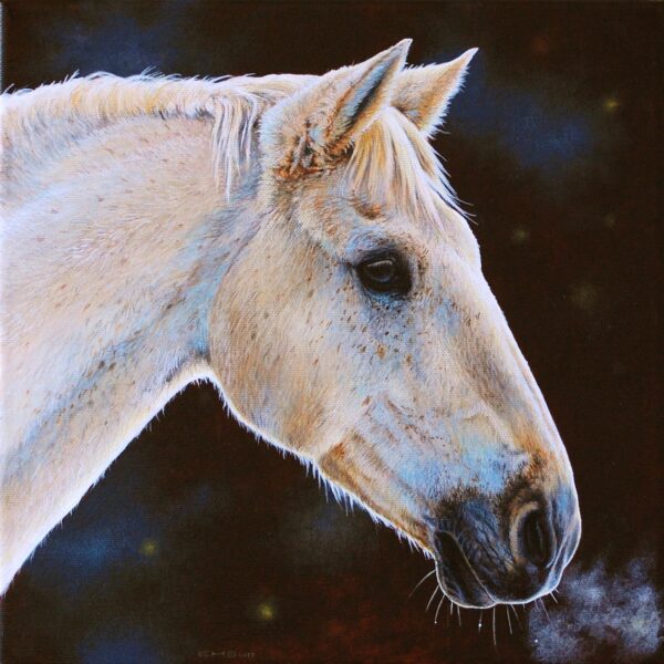 Portrait of Eran the horse