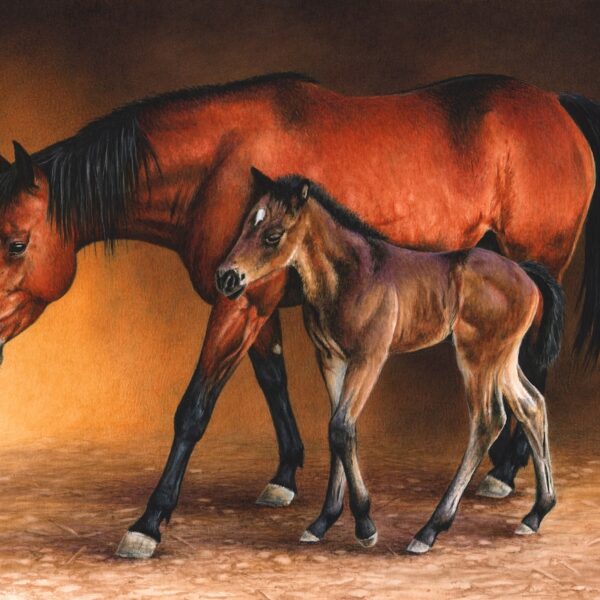 Quarter Horse with Foal