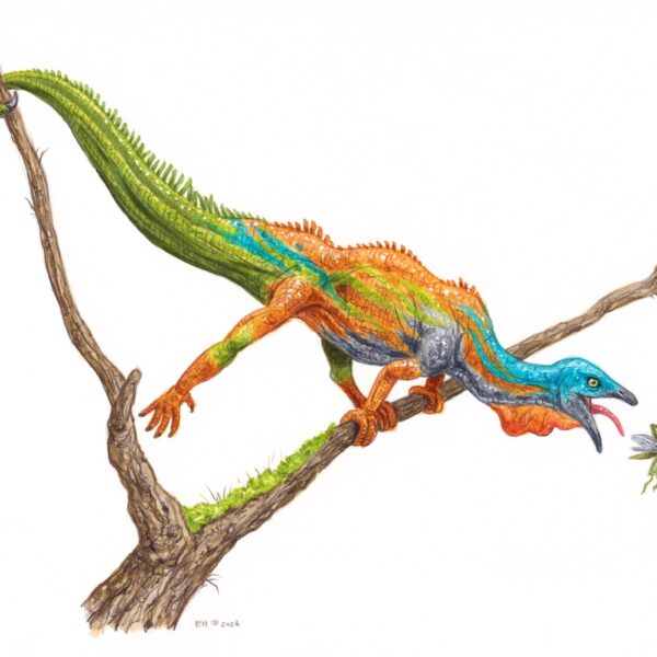 Megalancosaurus