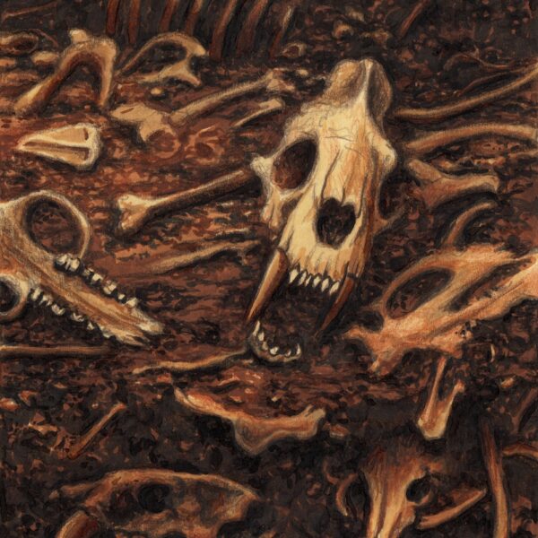 La Brea Tar Pit Fossils