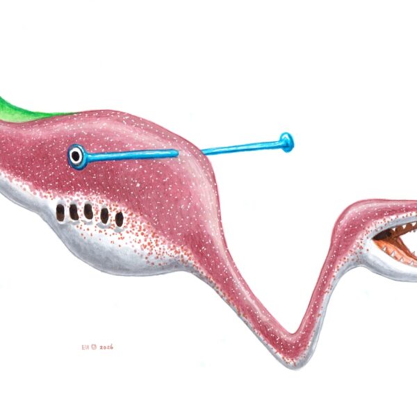 Tully Monster