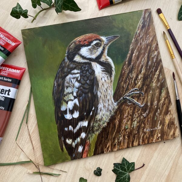 Bird Paintings