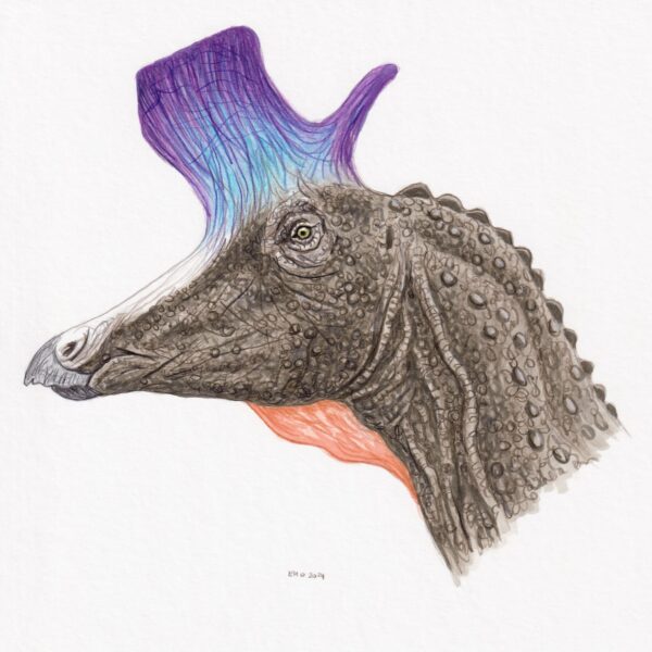 Lambeosaurus Portrait