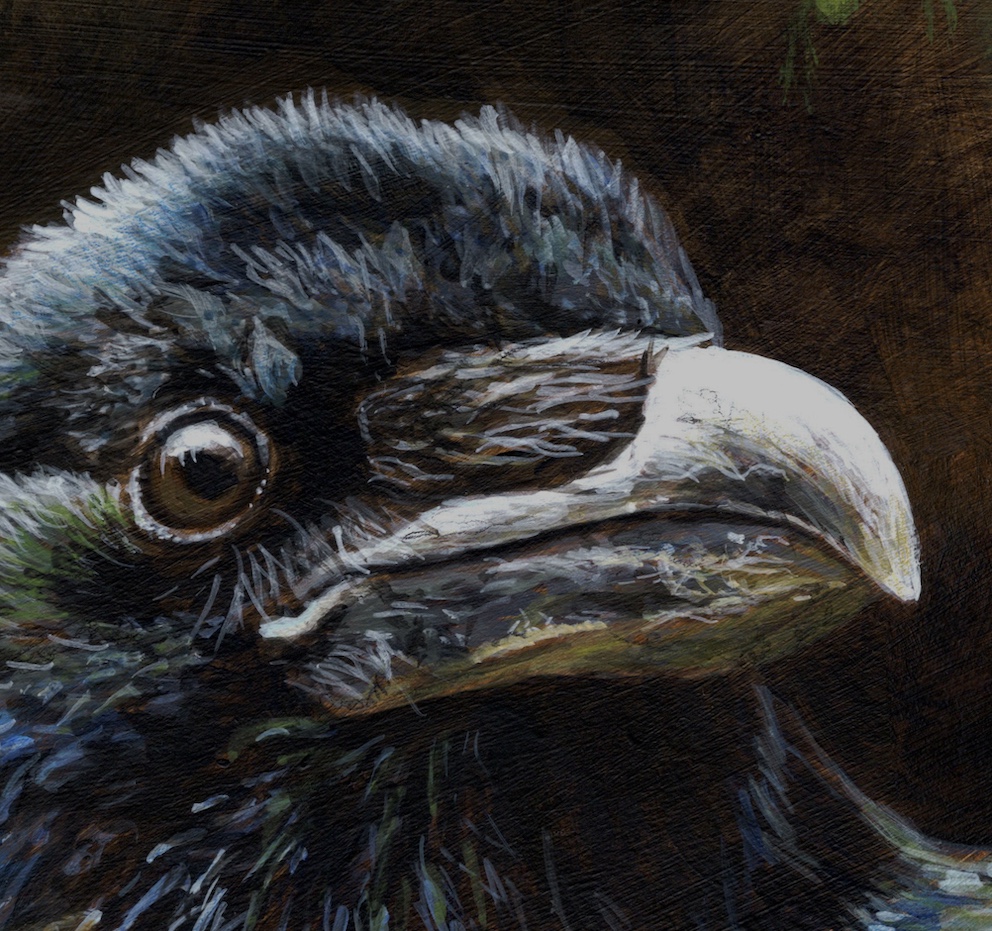 Yange Ravim Young Raven - Esther van Hulsen