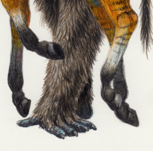Dinopithecus - Esther van Hulsen